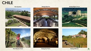 CHILE
Viña Aquitânia
Viña Villaseñor Puelo
Bodega Altacima
Bodega San Pedro
Bodega Miguel Torres
Bodega Gillmore
 