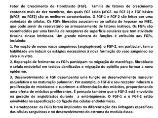 Fator de Crescimento de Fibroblasto (FGF).  Família de fatores de crescimento contendo mais de dez membros, dos quais FGF ácido (aFGF. ou FGF-1) e FGF básico (bFGF, ou FGF2) são os melhores caracterizados. O FGF-1 e FGF-2 são feitos por uma variedade de células. Os FGFs liberados associam-se ao sulfato de heparan na MEC, que pode servir de reservatório ao armazenamento de fatores inativos. Os FGFs são reconhecidos por uma família de receptores de superfície celulares que tem atividade tirosina cinase intrínseca. Um grande número de funções é atribuído aos FGFs, incluindo: 1. Formação de novos vasos sanguíneos (angiogênese): o FGF-2, em particular, tem a habilidade em induzir os estágios necessários à nova formação do vaso sanguíneo ao vivo e in vitro. 2. Reparação de ferimento: os FGFs participam na migração de macrófago, fibroblasto e célula endotelial em tecidos danificados e migração do epitélio para formar a nova epiderme. 3. Desenvolvimento: o FGF desempenha uma função no desenvolvimento muscular esquelético e na maturação pulmonar. Por exemplo, o FGF-6 e seu receptor induzem a proliferação de mioblastos e suprimem a diferenciação dos miócitos, proporcionando uma oferta de miócitos proliferantes. É pensado também que o FGF-2 está envolvido na geração de angioblastos durante  a embriogênese. O FGF-1 e o FGF-2 estão envolvidos na especificação do fígado das células endodérmicas. 4. Hematopoese: os FGFs foram implicados na diferenciação das linhagens específicas das células sanguíneas e no desenvolvimento do estroma da medula óssea. 