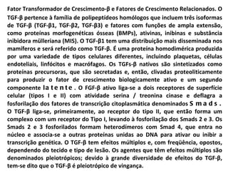 Fator Transformador de Crescimento- β  e Fatores de Crescimento Relacionados. O TGF- β  pertence à família de polipeptídeos homólogos que incluem três isoformas de TGF- β  (TGF- β 1, TGF- β 2, TGF- β 3) e fatores com funções de ampla extensão, como proteínas morfogenéticas ósseas (BMPs), ativinas, inibinas e substância inibidora mülleriana (MIS). O TGF- β 1 tem uma distribuição mais disseminada nos mamíferos e será referido como TGF- β . É uma proteína homodimérica produzida por uma variedade de tipos celulares diferentes, incluindo plaquetas, células endoteliais, linfócitos e macrófagos. Os TGFs- β  nativos são sintetizados como proteínas precursoras, que são secretadas e, então, clivadas proteoliticamente para produzir o fator de crescimento biologicamente ativo e um segundo componente  latente . O FGF- β  ativo liga-se a dois receptores de superfície celular (tipos I e II) com atividade serina / treonina cinase e deflagra a fosforilação dos fatores de transcrição citoplasmática denominados  Smads.  O TGF- β  liga-se, primeiramente, ao receptor do tipo II, que então forma um complexo com um receptor do Tipo I, levando à fosforilação dos Smads 2 e 3. Os Smads 2 e 3 fosforilados formam heterodímeros com Smad 4, que entra no núcleo e associa-se a outras proteínas unidas ao DNA para ativar ou inibir a transcrição genética. O TGF- β  tem efeitos múltiplos e, com freqüência, opostos, dependendo do tecido e tipo de lesão. Os agentes que têm efeitos múltiplos são denominados pleiotrópicos; devido à grande diversidade de efeitos do TGF- β , tem-se dito que o TGF- β  é pleiotrópico de vingança. 