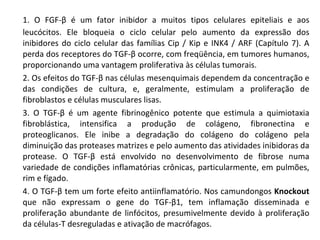 1. O FGF- β  é um fator inibidor a muitos tipos celulares epiteliais e aos leucócitos. Ele bloqueia o ciclo celular pelo aumento da expressão dos inibidores do ciclo celular das famílias Cip / Kip e INK4 / ARF (Capítulo 7). A perda dos receptores do TGF- β  ocorre, com freqüência, em tumores humanos, proporcionando uma vantagem proliferativa às células tumorais. 2. Os efeitos do TGF- β  nas células mesenquimais dependem da concentração e das condições de cultura, e, geralmente, estimulam a proliferação de fibroblastos e células musculares lisas. 3. O TGF- β  é um agente fibrinogênico potente que estimula a quimiotaxia fibroblástica, intensifica a produção de colágeno, fibronectina e proteoglicanos. Ele inibe a degradação do colágeno do colágeno pela diminuição das proteases matrizes e pelo aumento das atividades inibidoras da protease. O TGF- β  está envolvido no desenvolvimento de fibrose numa variedade de condições inflamatórias crônicas, particularmente, em pulmões, rim e fígado. 4. O TGF- β  tem um forte efeito antiinflamatório. Nos camundongos  Knockout  que não expressam o gene do TGF- β 1, tem inflamação disseminada e proliferação abundante de linfócitos, presumivelmente devido à proliferação da células-T desreguladas e ativação de macrófagos. 