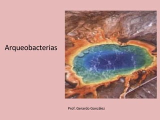 Arqueobacterias Prof. Gerardo González 