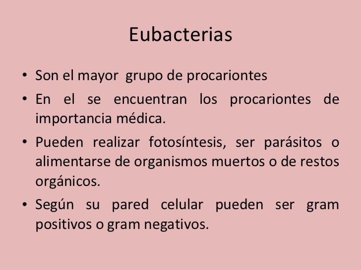 Diferencias Entre Eubacterias Y Arqueobacterias Arqueobacterias