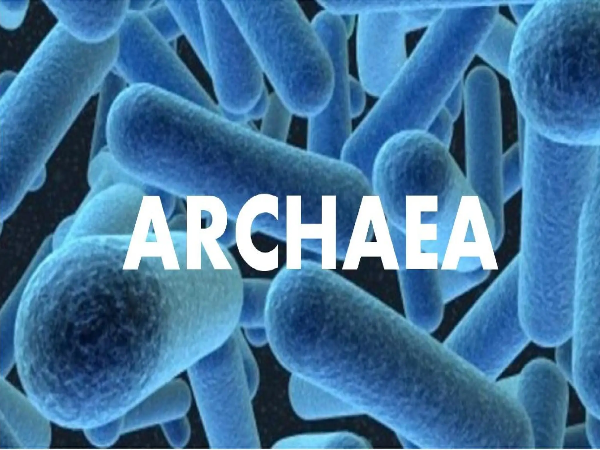 ARQUEAS. y beneficiosa para la humanidad | PPTX