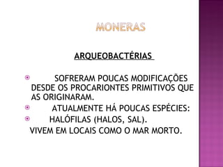 ARQUEOBACTÉRIAS

          SOFRERAM POUCAS MODIFICAÇÕES
  DESDE OS PROCARIONTES PRIMITIVOS QUE
  AS ORIGINARAM.
         ATUALMENTE HÁ POUCAS ESPÉCIES:
        HALÓFILAS (HALOS, SAL).

 VIVEM EM LOCAIS COMO O MAR MORTO.
 