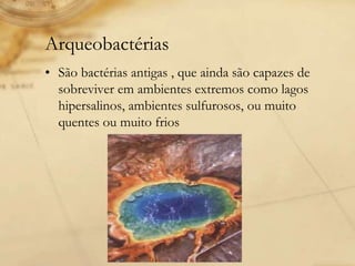 Arqueobactérias
• São bactérias antigas , que ainda são capazes de
sobreviver em ambientes extremos como lagos
hipersalinos, ambientes sulfurosos, ou muito
quentes ou muito frios
 