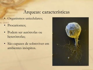 Arqueas: características
• Organismos unicelulares;
• Procariontes;
• Podem ser autótrofas ou
heterótrofas;
• São capazes de sobreviver em
ambientes inóspitos.
 
