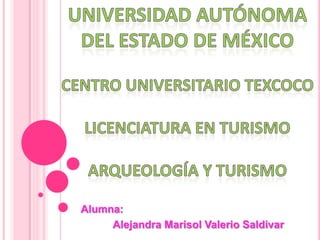 Alumna:
     Alejandra Marisol Valerio Saldivar
 