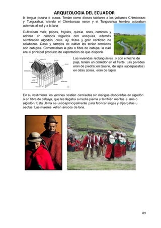 ARQUEOLOGIA DEL ECUADOR
119
la lengua puruha o purwa. Tenían como dioses tutelares a los volcanes Chimborazo
y Tungurahua, siendo el Chimborazo varon y el Tungurahua hembra adoraban
además al sol y a la luna
Cultivaban maíz, papas, frejoles, quinua, ocas, camotes y
achiras en campos regados con acequias, además
sembraban algodón, coca, ají, frutas y gran cantidad de
calabazas. Casa y campos de cultivo los tenían cercados
con cabuyas. Comerciaban la pita o fibra de cabuya, la cual
era el principal producto de exportación de que disponía
Las viviendas rectangulares y con el techo de
paja, tenían un corredor en el frente. Las paredes
eran de piedra( en Guano, de lajas superpuestas)
en otras zonas, eran de tapial
En su vestimenta los varones vestían camisetas sin mangas elaboradas en algodón
o en fibra de cabuya, que les llegaba a media pierna y también mantas e lana o
algodón. Esta ultima se usabaprincipalmente para fabricar sogas y alpargatas u
osotas. Las mujeres vetian anacos de lana.
 