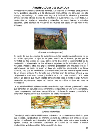 ARQUEOLOGIA DEL ECUADOR
28
recolección de plantas y animales menores. La caza era la actividad productiva de
mayor prestigio inherente y a la abundancia momentánea de alimentos de alta
energía; sin embargo, la fuente más segura y habitual de alimentos y materias
primas para las labores diarias de alimentación y subsistencia era, sobre todo. La
recolección de productos vegetales y minerales, así como huevos y animales
pequeños. Esta actividad la realizaban, las mujeres con ayuda de los niños y los
ancianos.
(Caza de animales grandes)
En razón de que los medios de subsistencia de los cazadores-recolectores no se
encuentren agrupados ni fijos en un punto común en el entorno, ya sea por la
movilidad de las `presas de caza, como por la dispersión y estacionalidad de la
maduración o abundancia de los alimentos vegetales o de animales pequeños (
moluscos, insectos, etc.), los grupos humanos practicaban una movilidad cíclica o
trashumancia; es decir, no tenían un lugar de residencia permanente o de larga
duración, sino que se movilizaban por temporadas y de una manera regular dentro
de un amplio territorio. Por lo tanto, sus viviendas eran de carácter efímero y sus
campamentos eran abandonados y trasladados a una nueva ubicación cada cierto
tiempo. Es posible que hayan existido campamentos-base a donde el grupo humano
regresaba regularmente luego de realizar sus recorridos cíclicos de caza o
recolección.
La sociedad de los cazadores- recolectores estaba organizada en grupos autónomos
que consistían en agrupaciones permanentes compuestas por una familia ampliada,
cuyos componentes realizaban sus actividades cotidianas de manera comunitaria y
compartían el producto de sus actividades de caza y recolección.
(Grupos autónomos)
Cada grupo autónomo se consideraba propietario de un determinado territorio y de
sus recursos, explotándolos de manera solidaria. La extensión del territorio en que
movían normalmente los integrantes del grupo podían variar entre unos setenta y
algunos cientos de kilómetros cuadrados, en función de su mayor o menor
productividad y de la densidad de la población del área.
 