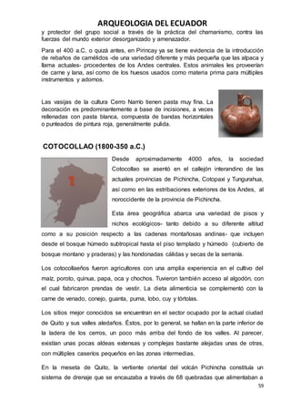 ARQUEOLOGIA DEL ECUADOR
59
y protector del grupo social a través de la práctica del chamanismo, contra las
fuerzas del mundo exterior desorganizado y amenazador.
Para el 400 a.C, o quizá antes, en Pirincay ya se tiene evidencia de la introducción
de rebaños de camélidos -de una variedad diferente y más pequeña que las alpaca y
llama actuales- procedentes de los Andes centrales. Estos animales les proveerían
de carne y lana, así como de los huesos usados como materia prima para múltiples
instrumentos y adornos.
Las vasijas de la cultura Cerro Narrío tienen pasta muy fina. La
decoración es predominantemente a base de incisiones, a veces
rellenadas con pasta blanca, compuesta de bandas horizontales
o punteados de pintura roja, generalmente pulida.
COTOCOLLAO (1800-350 a.C.)
Desde aproximadamente 4000 años, la sociedad
Cotocollao se asentó en el callejón interandino de las
actuales provincias de Pichincha, Cotopaxi y Tungurahua,
así como en las estribaciones exteriores de los Andes, al
noroccidente de la provincia de Pichincha.
Esta área geográfica abarca una variedad de pisos y
nichos ecológicos- tanto debido a su diferente altitud
como a su posición respecto a las cadenas montañosas andinas- que incluyen
desde el bosque húmedo subtropical hasta el piso templado y húmedo (cubierto de
bosque montano y praderas) y las hondonadas cálidas y secas de la serranía.
Los cotocollaeños fueron agricultores con una amplia experiencia en el cultivo del
maíz, poroto, quinua, papa, oca y chochos. Tuvieron también acceso al algodón, con
el cual fabricaron prendas de vestir. La dieta alimenticia se complementó con la
carne de venado, conejo, guanta, puma, lobo, cuy y tórtolas.
Los sitios mejor conocidos se encuentran en el sector ocupado por la actual ciudad
de Quito y sus valles aledaños. Éstos, por lo general, se hallan en la parte inferior de
la ladera de los cerros, un poco más arriba del fondo de los valles. Al parecer,
existían unas pocas aldeas extensas y complejas bastante alejadas unas de otras,
con múltiples caseríos pequeños en las zonas intermedias.
En la meseta de Quito, la vertiente oriental del volcán Pichincha constituía un
sistema de drenaje que se encauzaba a través de 68 quebradas que alimentaban a
 