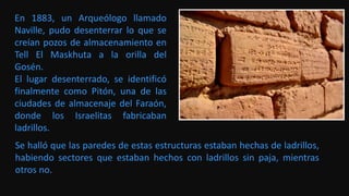 En 1883, un Arqueólogo llamado
Naville, pudo desenterrar lo que se
creían pozos de almacenamiento en
Tell El Maskhuta a la orilla del
Gosén.
El lugar desenterrado, se identificó
finalmente como Pitón, una de las
ciudades de almacenaje del Faraón,
donde los Israelitas fabricaban
ladrillos.
Se halló que las paredes de estas estructuras estaban hechas de ladrillos,
habiendo sectores que estaban hechos con ladrillos sin paja, mientras
otros no.
 