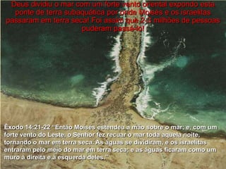 Então Deus falou a Moshê: "Levante seu cajado, estenda a mão sobre o mar, e o divida; e os filhos de Israel caminharão sobre o fundo do mar como em terra seca." Moshê fez como Deus lhe ordenara. Levantou o bastão, estendendo a mão sobre o mar; levantou-se um forte vento leste que soprou por toda a noite. Com aquela tempestade, as águas do Mar Vermelho se dividiram, formando doze passagens, uma para cada tribo, juntando-se em paredes de água de cada lado, deixando doze trilhas secas no meio. Os israelitas marcharam ao longo destes caminhos secos que se estendiam de uma praia à outra.