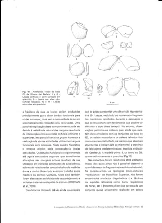 /"hr,:1 I
                                                                                  , .,',. 
                                                                                   'a{-l {--/   i
                                                                                  --l/
                                                                                  ^--        J
                                                                                      ';-




                                                                                                      .--)(1">:

Fig. 10 - Aftefacros liticôs da bêsê
03 da Bibena da atalaia: 1 ê I
Lascas corticais e semi-corticêis em
                                              WD
                                                rr
                                                     1l
                                                                             h
                                                                             a>
                                                                                        f ,..-

                                                                                        ,,'_/,,
                                                                                                      )r- !
                                                                                                                        .




q!artzitoi 9   -   Lasca em silex néo-
corlical retocada; 10 e    11   Lâscâs
retocêdas em quartzito.


a hipótese de que as         lãscas sêriãm produzidas           que se possa apresentar uma descriçáo íepresenta
principalmente pâra obter bordos funcionais para                tiva (341 peças, excluindo os numerosos fragmen-
cortar ou raspâr mas sem a nêcessidade de serem                  'os re.ànicos rêcolhidos du,ante ê escavaçào                   ê
sistematicamenie retocadâs e/ou reâvivâdas. Uma                  que se relacionêm com fenómênos quê podem ter
possível explicaçáo desie comporiâmento pode ser                 afectâdo o topo desre terraÇo). No entanto. obser-
devido à resistência natural das margens resultante             vaçoôs prêi minê'êç indicdn'que, aindd que êrrs-
da inteÍsecçâo entre as aíestas corticais inferiores e          ram clara afinidades coÍn os coniuntos da Bêse do
superiores. lsto possibil;têriâ aos srupos humanos a            03. os seixos retocados e os seixos talhâdos têm
realizáÇáo de váíiâs act;vidades utilizando mársens              Tenos ,êpresÊrtêividdde, os ru!reos que sao rÍ'ài.
funcionais sem retoques. Neste quadro hipotético                 êbundantes e indicam (até ao momenio) a presença
o retoque atípico seria          consequênciâ destas             de debitagens predeterminêdas: /eval/ois, e discói
âctividades. Os estudos fun€ionais e expêrimentais               dê (Gráfico 2). A matéria-primê é, tal como no 03,
até agora efêctuâdos sugerem que semelhantes                     quase exclusivamênte o quartziro (Fig.11).
alteraçóes nas margens activas resultam da sua                       Nas coiuvióes. Íorãm rêcolhidos 2694 artefaclos
utilizaçêo em vdriadds dclividades de subs slén.iê.              lrr:cos ídos quais ê nda ráo e possive disceÍnir d
sobretudo relãcionâdas com o trabalho de matériâs                quântidãdê real de frâgmentos mecânicos/naturáis).
duras e muito duras (por êxêmplo Íabalho sobre                   Se considerarmos as tipologias crono cullurais
madeira ou corno). Contudo, neste sítio também                   "tradicionais" do Paleolítico SupeÍior, não foram
foram efectuadâs êctividades de esquartejêmento e                enconlrâdos drtêidctos diagnóslico (;.ê. rárlinas
inclusivelratamento de peles dê animais (CRISIIANI               ou suportes Íêtocados como burís, raspâdeirâs
et al-, 2oo9) -                                                  de dorso, etc.). Podêmos dizêr que se trata de um
   Os êdefactos líticos do 04 sáo ainda poucos para              conju']to quase unicamenlê reali/ado eÍn seivos




                                Âôcup3çãodo Plúistocénlco MedlDe SLpe o.dã Ribe râ dâAtâ aia 1lr'lédioTejo, Poftúsa centâ   )   33
 