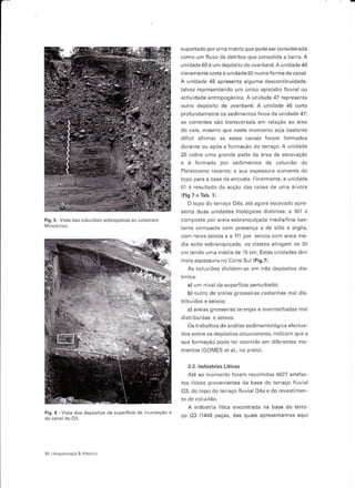 suportado por uma mêtri2 que pode ser considerãdã
                                                            coÍno um fluxo de detritos que consolida a bêrra. A
                                                            unidâdê 60 é um depósito dê ovelbârk A unidade 49
                                                            claramente corta ê Lnidêde 60 numa Íorma dê canal.
                                                            A unidêde 48 êpresentê êlguma descontinuidâde.
                                                            ialvez repÍesentando um úníco epísódio fluvial ou
                                                            actividade antropogénÍca- A unidade 47 representa
                                                            outro depósito de overbânk- A unidade 46 corta
                                                            profundamente os sedimentos finos da unidade 47;
                                                            as correntes sdo transve'sais em reldçao do e:ro
                                                            do valê, Ínêsmo quê neste rnomento seja bastênte
                                                            difícil aÍirmãr sê estes cãnais forarn formados
                                                            durante ou após a formação do ieraço. A unidade
                                                            20 cobrÂ LTa granda pdrte dd á-eê de escêv"Çáo
                                                            ê é formada poí         sêdimentos de coluvião do
                                                            Pleistoceno recentei a sua espessura aumenta do
                                                            topo para a base da encosra. Finalmentê, a unidâde
                                                            01 é resultado da acção das raízes de uma árvore
                                                            (Fis.7 e Tab.1).
                                                              O topo do tetraçô o4a, até âgora escavado apre
                                                            senta duas unidades liiológicas distintâsi a 107 e
Fig.5 Vlstâ   dês côlúvióes sobrepostas ao substraro        coÍnposta por âreiê êsbÍanquiçada media/finê bas-
                                                            tante compactê côm presença a de silte e argila,
                                                            con 'a-os seilos   ea   lll por sei'os.o.n   a "ia n'é
                                                            diâ solta esbrênquiçada, os clastos atingem os 30
                                                            cm tendo uma médiã de l5 cm. Estâs unidadestêm
                                                            mêls espessura no Corte Sul (Fis.7).
                                                              As coluvióes dividem-se em rrês depósitos dis-

                                                              a) um nível de superfície peiturbado;
                                                              b) outro de areias srosseiras castânhas mal dis


                                                               cl areiês srosseiras la.anjas e êvermelhadas mal
                                                            distrlbuÍdas e seixos.
                                                               Os trabalhos de ânálise sedimentológica efectua-
                                                            dos sobre os depósitos coluvionares, indicam que â
                                                            sua formaçáo pode ter ocorido eín diferentes mo
                                                            mentos (GOt,4ES eral., no prelo).

                                                               2.2. lndúslrias Liticas
                                                               Aré ao momento foram recoihidos 4627 â.tefac-
                                                            tos lítlcos provenientes da base do teraço f uviãl
                                                            O3, oo opo do .-r"ço Íh !iàl O4d e do revesi:Ten


                                                              A indústriê litica encontrêda nâ báse do têrra-
Fig. 6 - Vista dos depósitos de superÍÍcie de in!ndêçãô e
                                                            !o 03 ,1448 oêcds dãq quais dpre>enLan o, dqL




30 Arqueolosia & l-listória
 