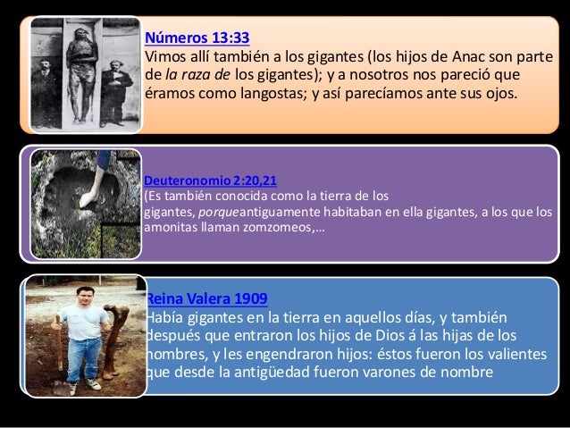 Arqueologia Prohibida