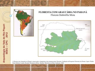 FLORESTA COM ARAUCÁRIA NO PARANÁ
                                                                                             Floresta Ombrófila Mista
Arqueologia do Vale do Rio Piquiri
      SEEC – CPC 2012




                                     A floresta com Araucária no Paraná: conservação e diagnóstico dos remanescentes florestais. Fundação de Pesquisas Florestais do Paraná. Apoio: Probio.
                                     Paulo Roberto Castela; Ricardo Miranda de Britez. Brasília: Ministério do Meio Ambiente, 2004.
 