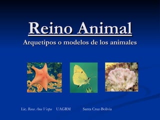 Reino Animal Arquetipos o modelos de los animales Lic.  Rosa Ana Vespa   UAGRM  Santa Cruz-Bolivia 