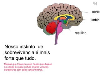 Nosso instinto  de sobrevivência é mais forte que tudo.  Marcas que tocarem o que há de mais básico no código de cada cultura criarão vínculos duradouros com seus consumidores. cortex limbic reptilian 