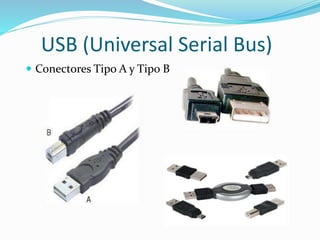 USB (Universal Serial Bus)
 Conectores Tipo A y Tipo B
 