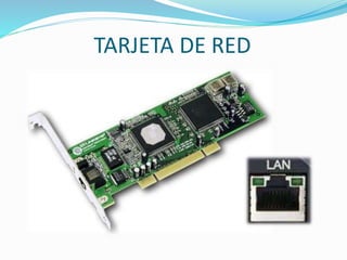 TARJETA DE RED
 