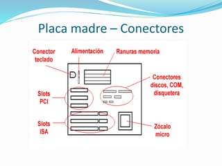 Placa madre – Conectores
 