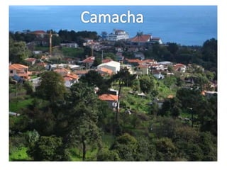 Camacha