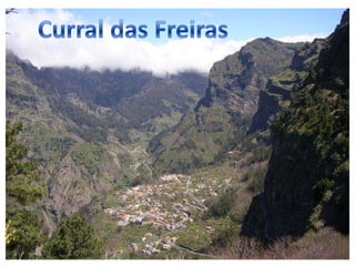 Curral das Freiras