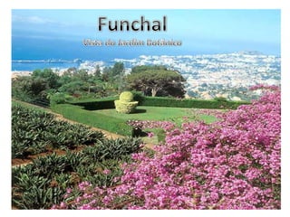 FunchalVista do Jardim Botânico