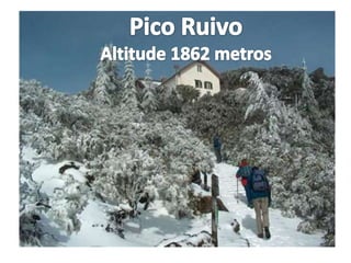 Pico RuivoAltitude 1862 metros