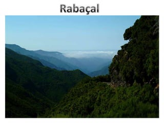 Rabaçal