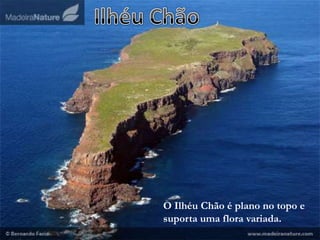 Ilhéu ChãoO Ilhéu Chão é plano no topo e suporta uma flora variada. 