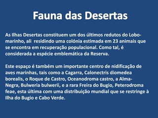 Fauna das DesertasAs Ilhas Desertas constituem um dos últimos redutos do Lobo-marinho, ali  residindo uma colónia estimada em 23 animais que se encontra em recuperação populacional. Como tal, é considerada a espécie emblemática da Reserva.Este espaço é também um importante centro de nidificação de aves marinhas, tais como a Cagarra, Calonectrisdiomedeaborealis, o Roque de Castro, Oceanodroma castro, a Alma-Negra, Bulweriabulwerii, e a rara Freira do Bugio, Peterodromafeae, esta última com uma distribuição mundial que se restringe à Ilha do Bugio e Cabo Verde.