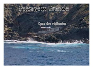 Selvagem GrandeCasa dos vigilantes