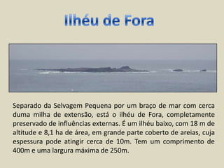 Ilhéu de ForaSeparado da Selvagem Pequena por um braço de mar com cerca duma milha de extensão, está o ilhéu de Fora, completamente preservado de influências externas. É um ilhéu baixo, com 18 m de altitude e 8,1 ha de área, em grande parte coberto de areias, cuja espessura pode atingir cerca de 10m. Tem um comprimento de 400m e uma largura máxima de 250m.