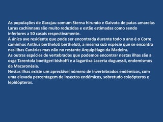 As populações de Garajau comum Sternahirundo e Gaivota de patas amarelas Laruscachinnans são muito reduzidas e estão estimadas como sendo inferiores a 50 casais respectivamente.A única ave residente que pode ser encontrada durante todo o ano é o Corre caminhos Anthusberthelotibertheloti, a mesma sub espécie que se encontra nas Ilhas Canárias mas não no restante Arquipélago da Madeira.As outras espécies de vertebrados que podemos encontrar nestas ilhas são a osga Tarentolaboettgeribishoffi e a lagartixa Lacertaduguessii, endemismos da Macaronésia.Nestas ilhas existe um apreciável número de invertebrados endémicos, com uma elevada percentagem de insectos endémicos, sobretudo coleópteros e lepidópteros.