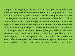 A riqueza da vegetação destas ilhas assume particular relevo na Selvagem Pequena e Ilhéu de Fora. Estas duas, pequenas, bastante inóspitas e remotas, nunca foram alvo de qualquer tentativa de colonização inclusive a introdução de herbívoros. Este facto traduz-se nos nossos dias numa espectacular riqueza em termos de vegetação, contando as mesmas com nove dos 11 endemismos de todo este sub-arquipélago. Espécies como Lobulariacanariensis (DC.) Borgenssp. rosula-venti (Svent.) Borgen, Scillamaderensis Menezes var. melliodoraSvent., Limoniumpapillatumvar. callibotryum, Lotus salvagensisMurr. e EuphorbiaanachoretaSvent. são o exemplo real desta fabulosa riqueza. Refira-se que este último taxon só ocorre no Ilhéu de Fora.