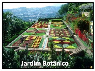 Jardim Botânico