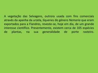 A vegetação das Selvagens, outrora usada com fins comerciais através da apanha da urzela, líquenes do género Nemaria que eram exportados para a Flandres, reveste-se, hoje em dia, de um grande interesse científico. Presentemente, existem cerca de 105 espécies de plantas, na sua generalidade de porte rasteiro.