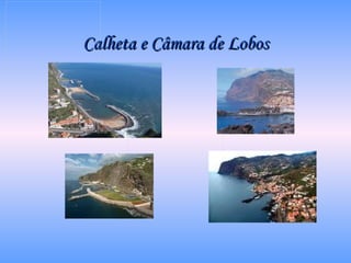 Calheta e Câmara de Lobos 