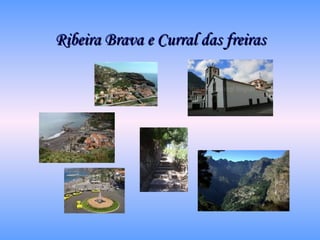 Ribeira Brava e Curral das freiras 