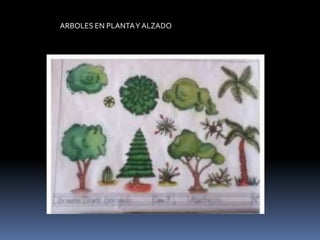 ARBOLES EN PLANTA Y ALZADO
 