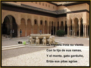 La higuera frota su viento Con la lija de sus ramas, Y el monte, gato garduño, Eriza sus pitas agrias . 