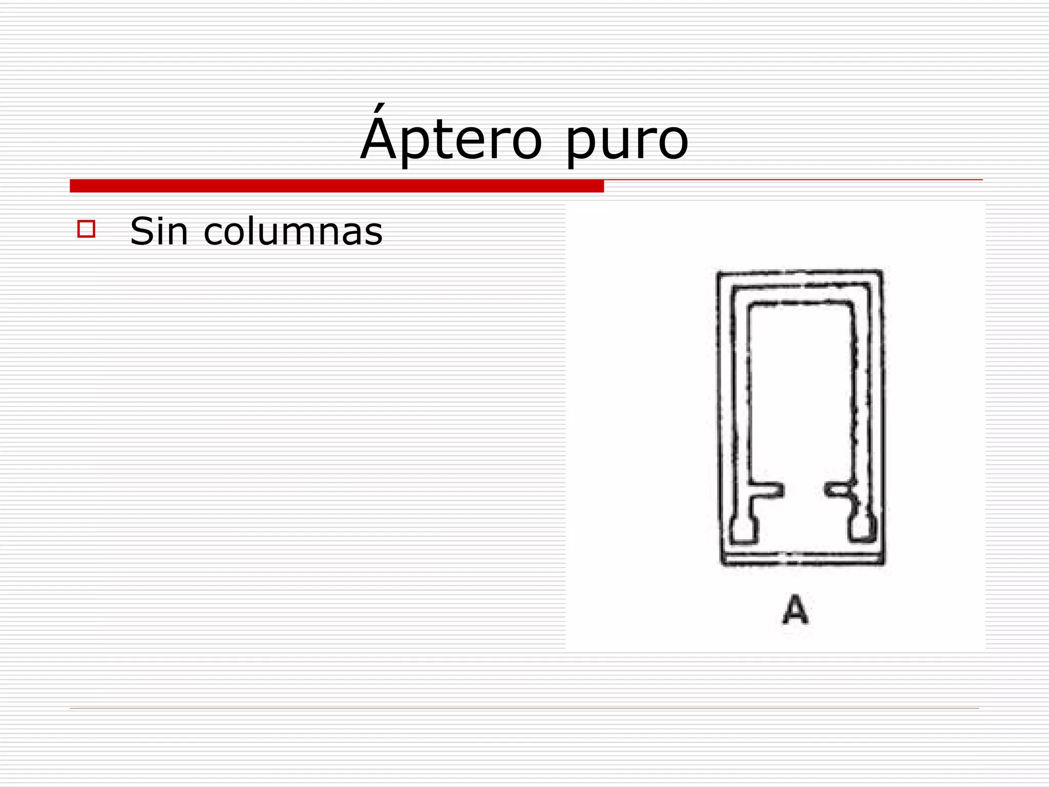 Áptero puro Sin columnas 