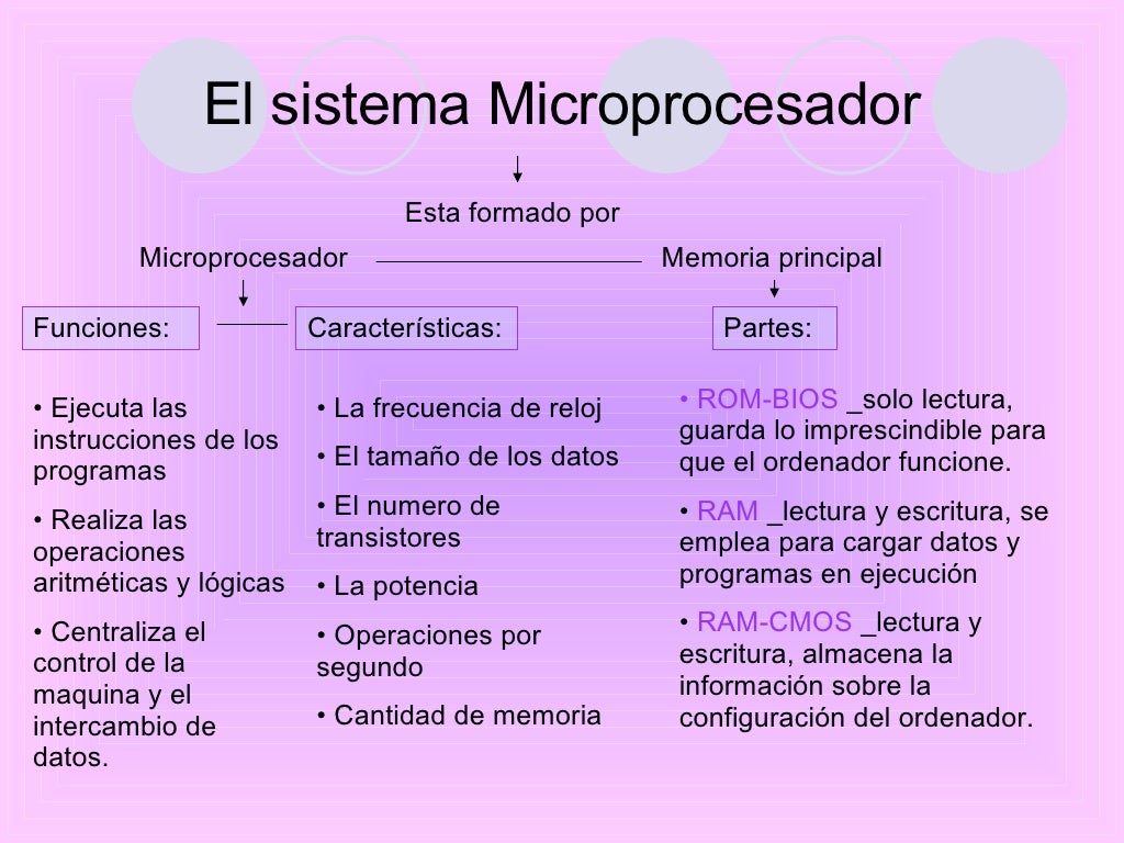 Arquitectura Del Ordenador