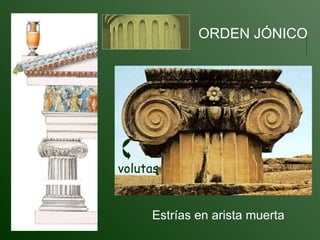 ORDEN JÓNICO volutas Estrías en arista muerta 