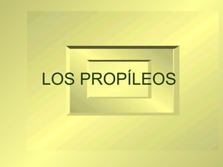 OS PROPÍLEOS LOS PROPÍLEOS 