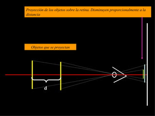 d d Proyección de los objetos sobre la retina. Disminuyen proporcionalmente a la distancia Objetos que se proyectan 