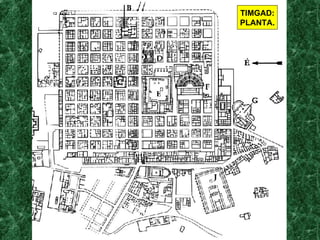 TIMGAD: PLANTA. 
