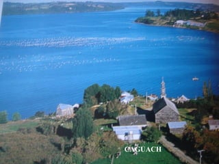 CAGUACH 