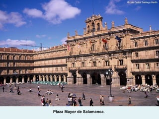 Plaza Mayor de Salamanca.
 